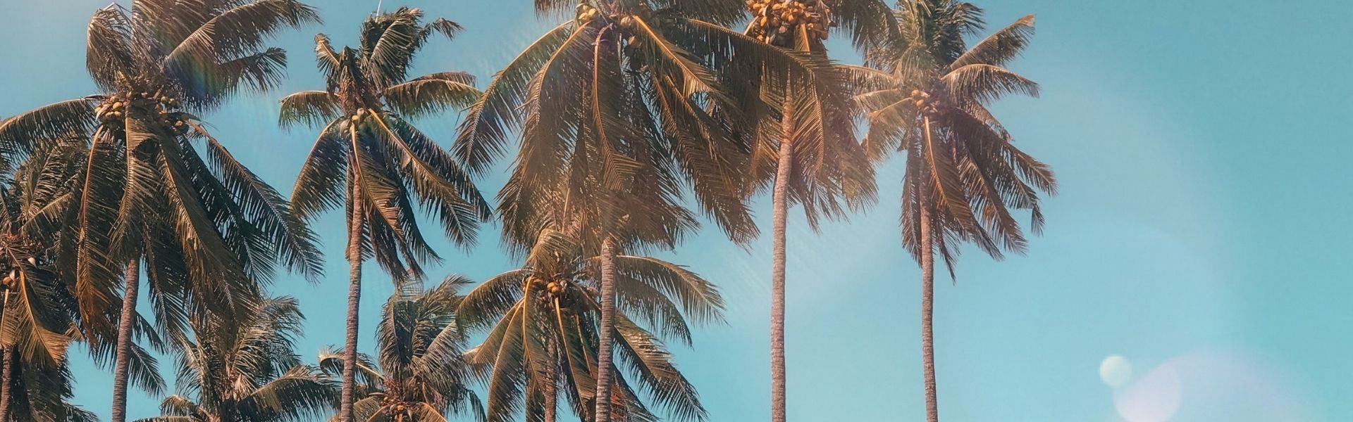 TALS Palm Beach Garden